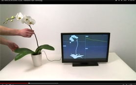 環(huán)球時訊 網(wǎng)絡(luò)科技與計(jì)算機(jī)的融合創(chuàng)新與未來展望